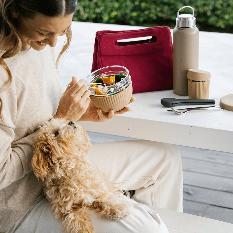 Beyond Plastic: How to Choose the Best Adult Lunch Box and Bag for Work