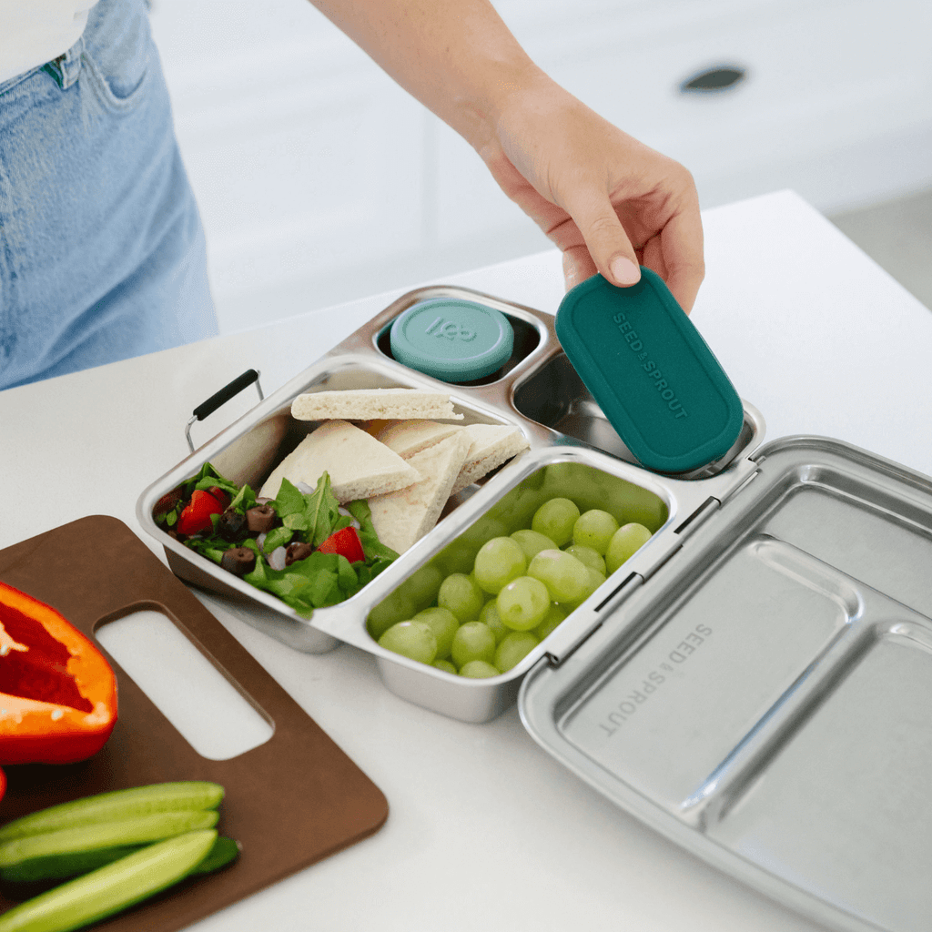 2 Pot Set - Stainless Steel Snack Containers