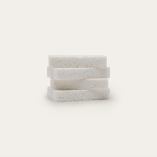 Compostable Sponge | 4pk