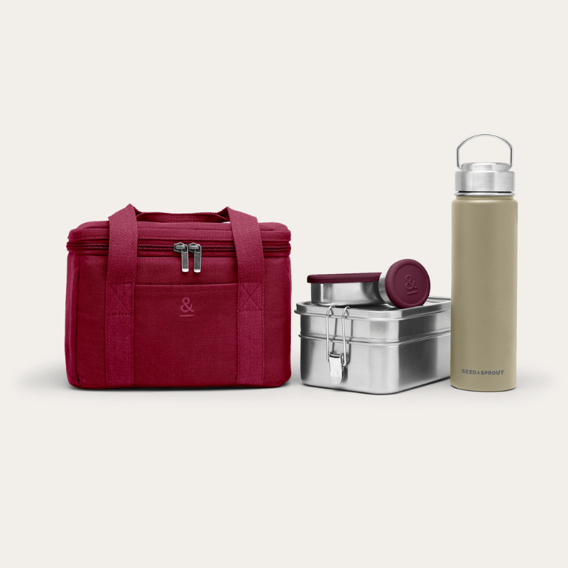 Everyday Lunch Essentials