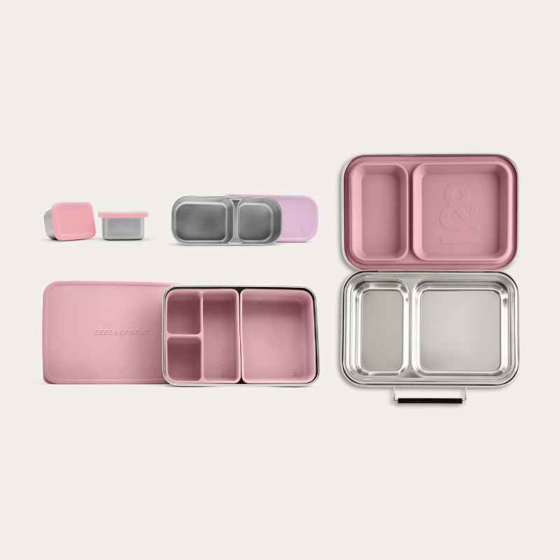 Bento Box + Snack Container Bundle