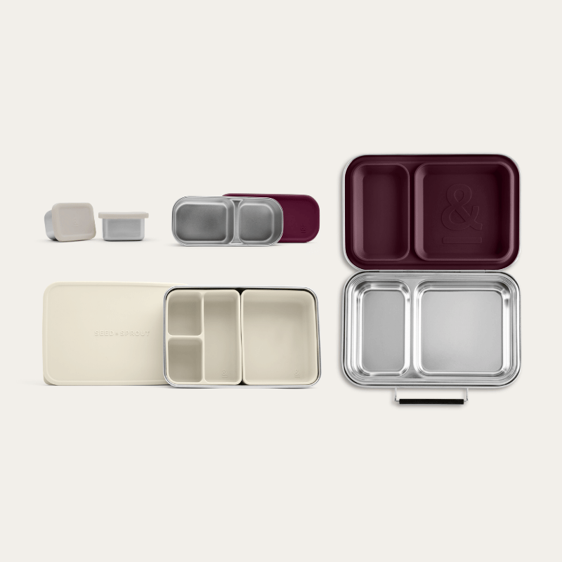 Bento Box + Snack Container Bundle