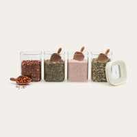 Beechwood Spice Scoop 4pk