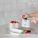 Tallow Silicone Insert Set