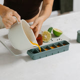 6 Portion Silicone Freezer Tray Set
