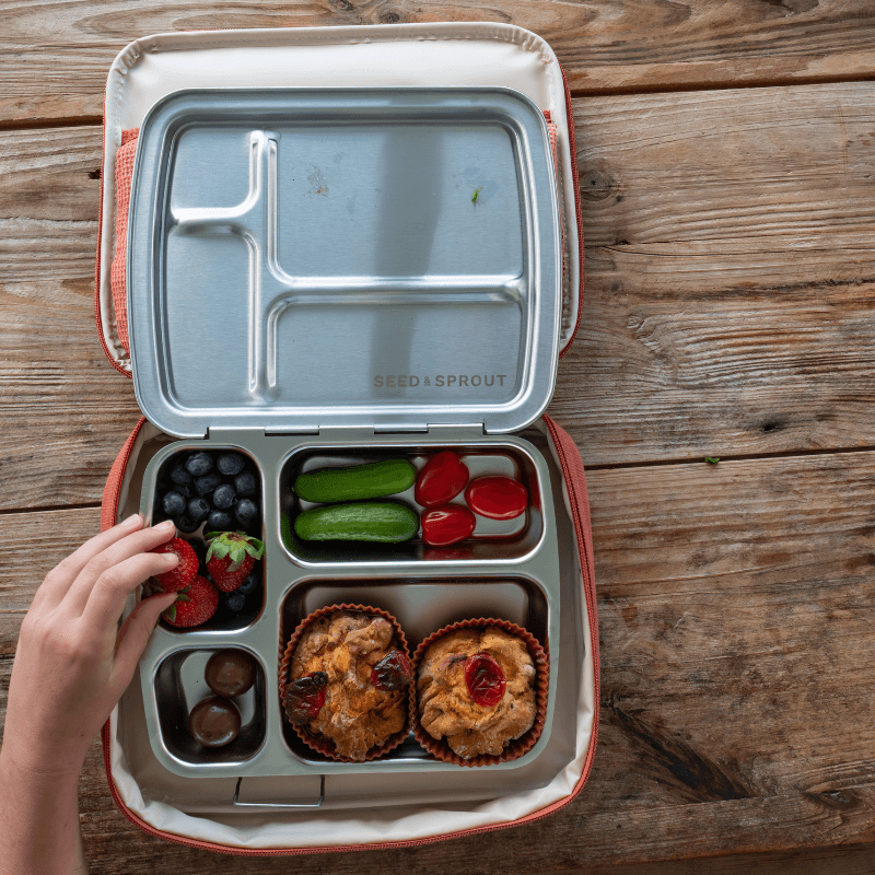 insulated eco lunch case