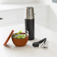 lunch kit for adults