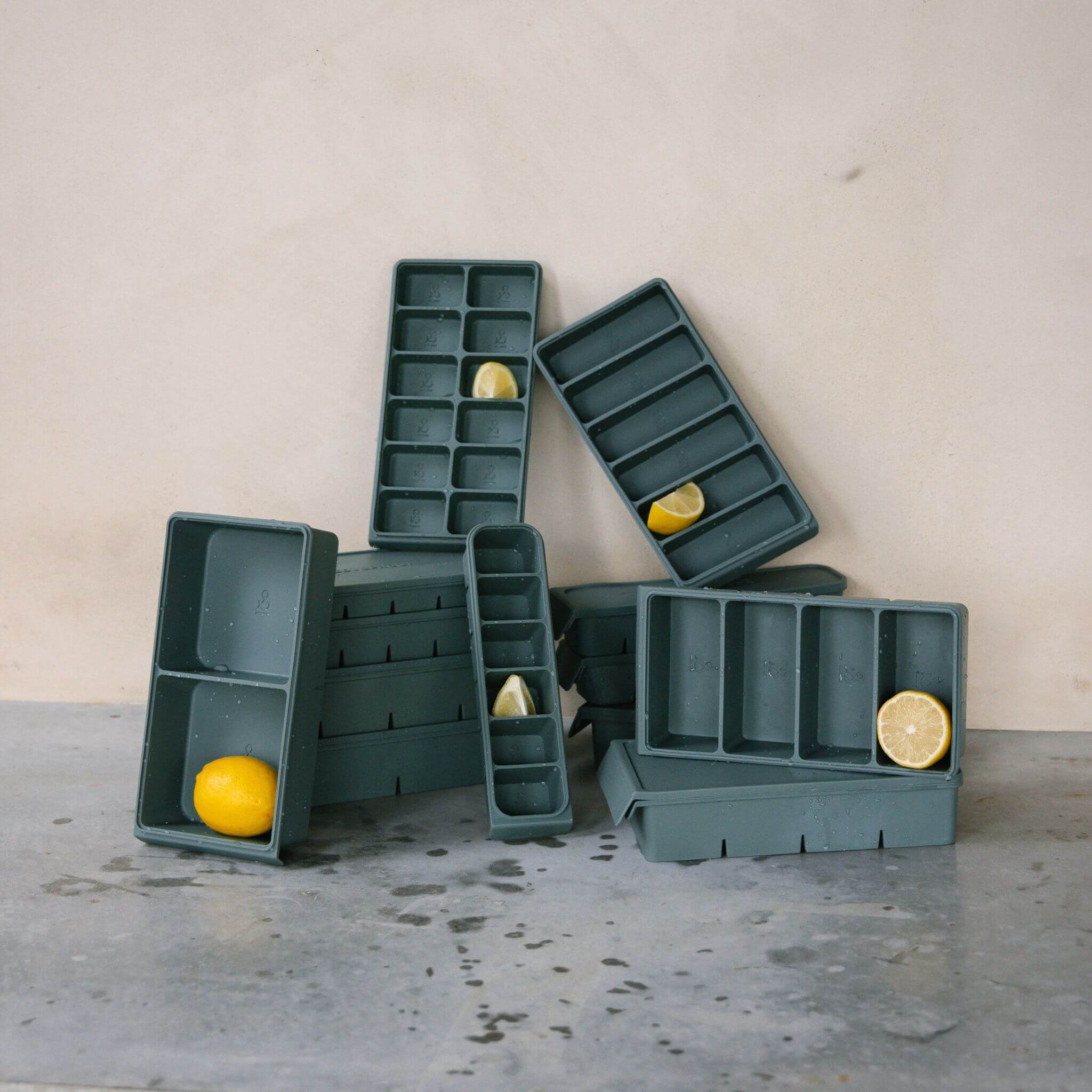 12 Portion Silicone Freezer Tray | 25ml