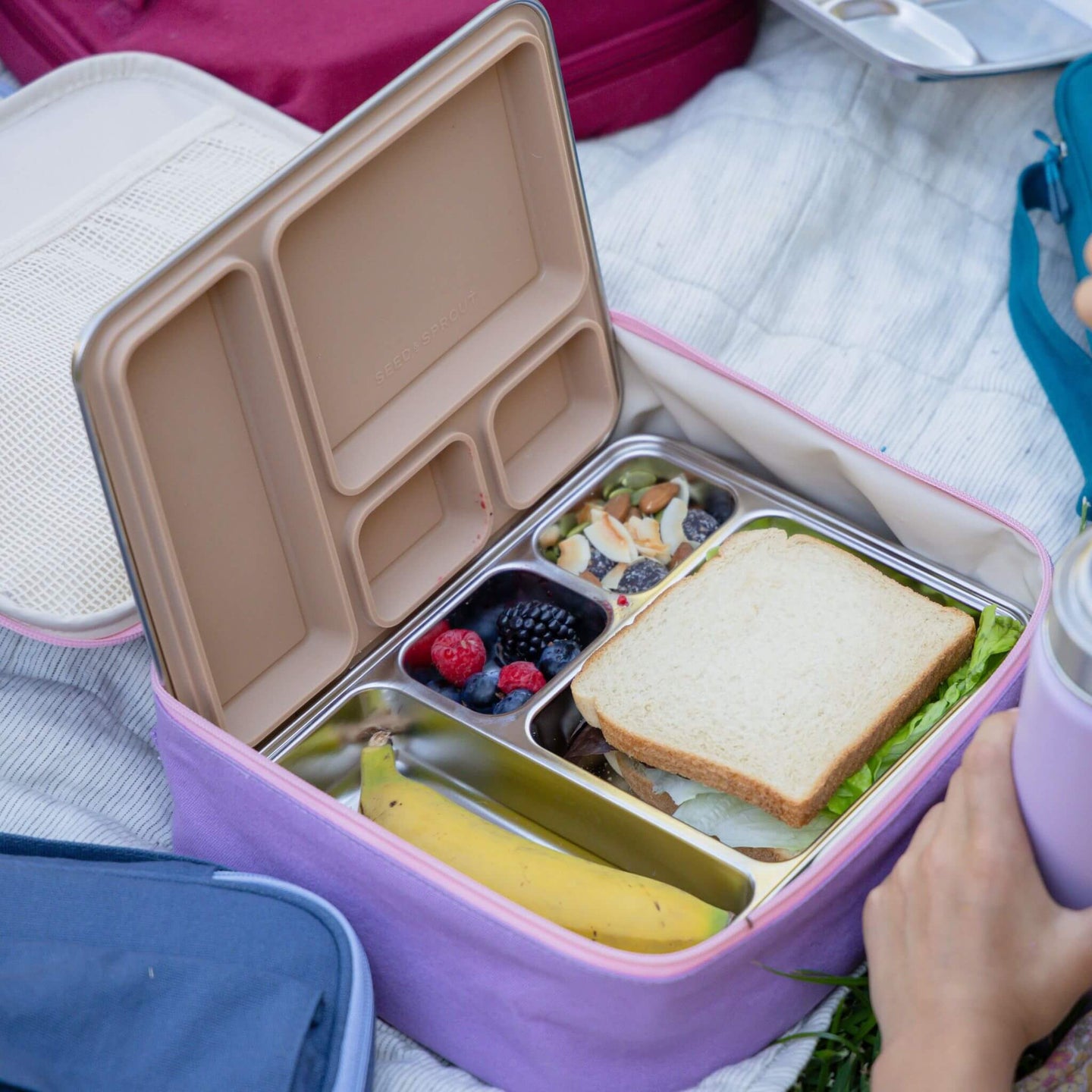 CrunchBox™ 2.0 Lunch Box | Silicone Leak Resistant Seal