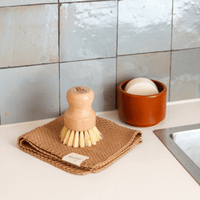 Soap Holder